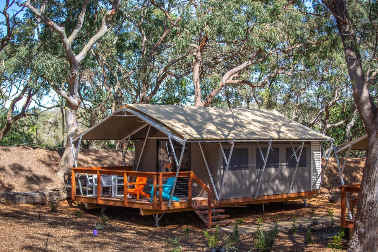 Port Stephens Koala Sanctuary Otel One Mile Dış mekan fotoğraf