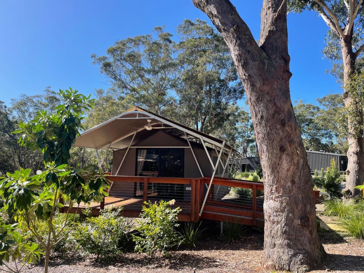 Port Stephens Koala Sanctuary Otel One Mile Dış mekan fotoğraf