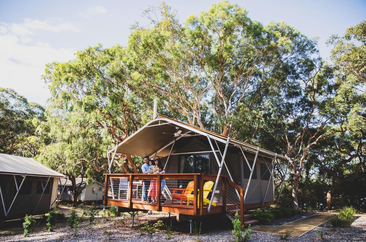 Port Stephens Koala Sanctuary Otel One Mile Dış mekan fotoğraf